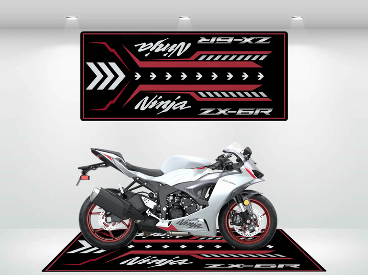 kawasaki-zx6r-pearl-robotic-white